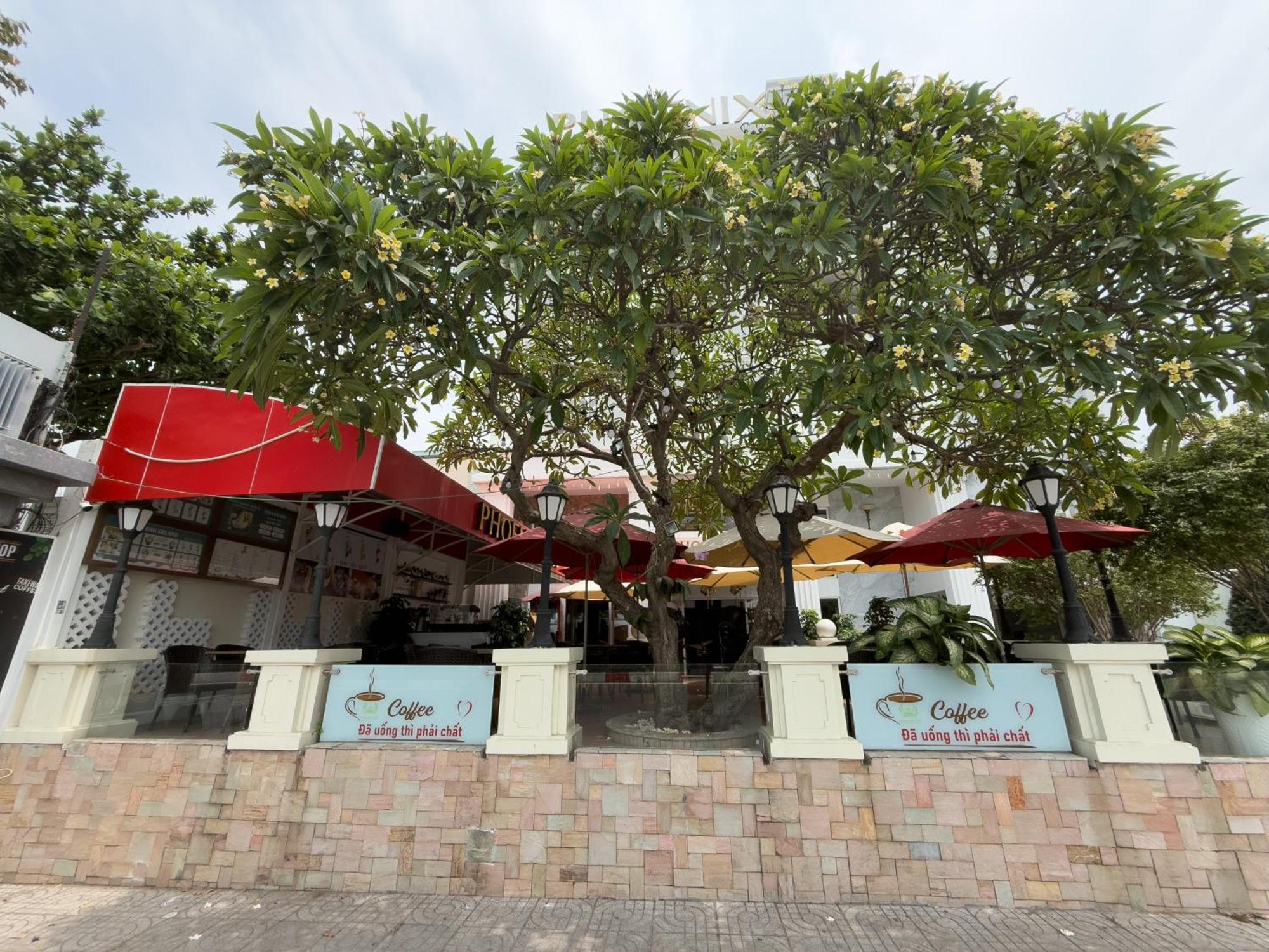 Phoenix Hotel Vung Tau Eksteriør bilde